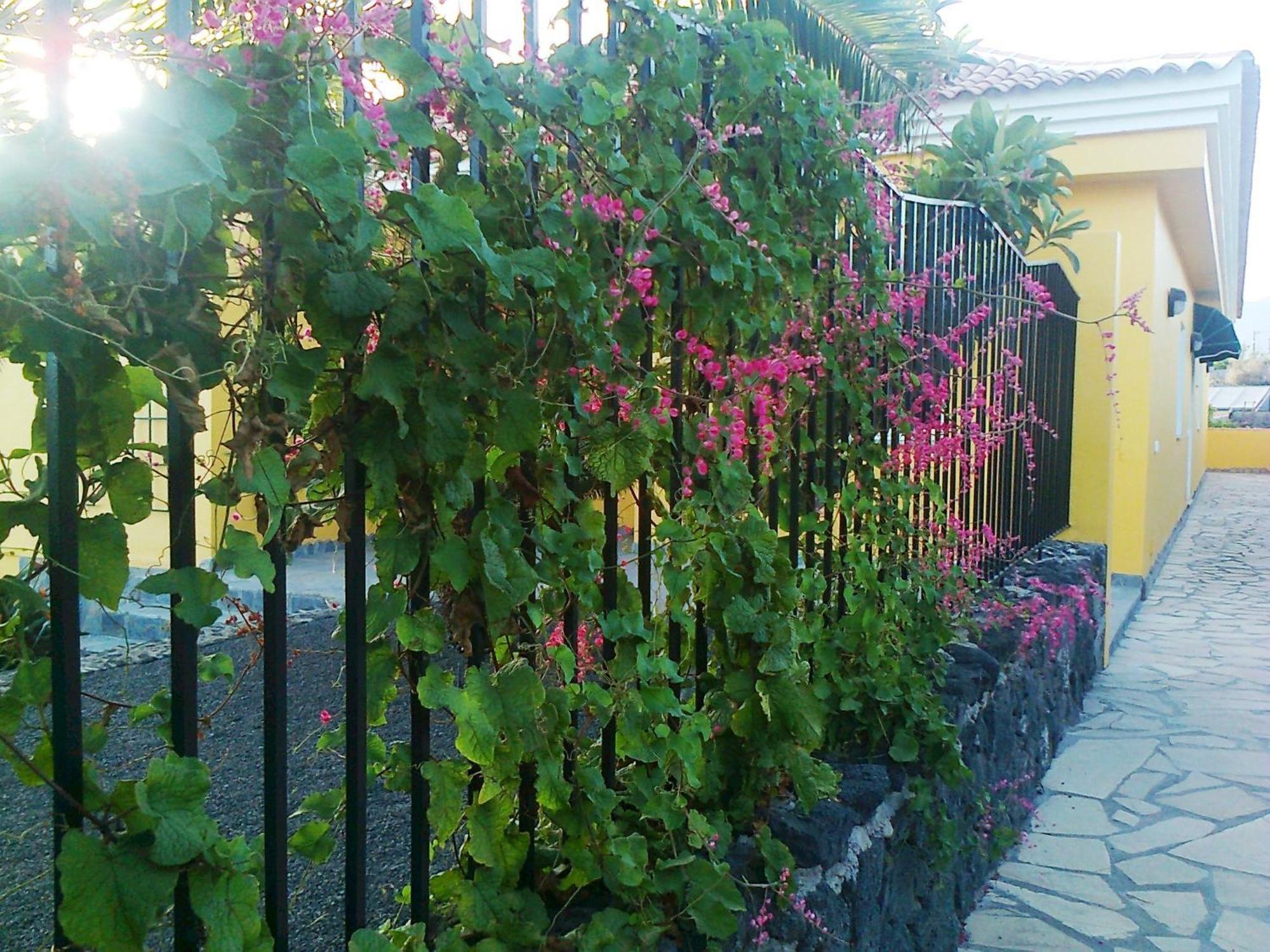 Vv Complejo Vacacional Villamaria Los Llanos De Aridane Buitenkant foto