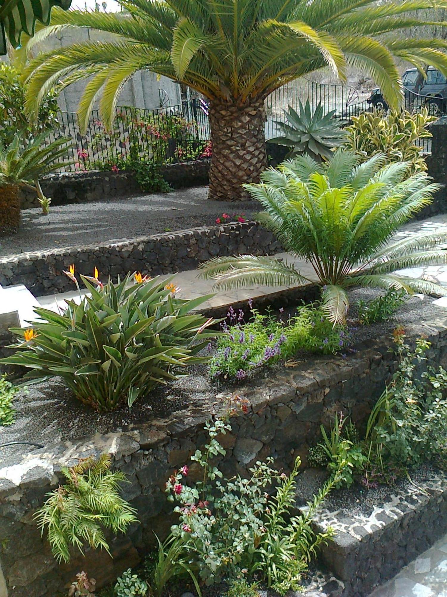 Vv Complejo Vacacional Villamaria Los Llanos De Aridane Buitenkant foto